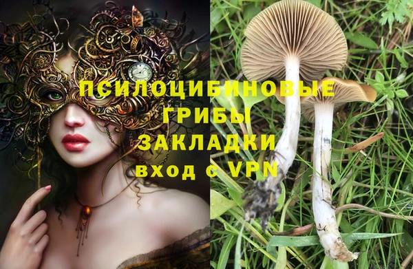 mdpv Бронницы
